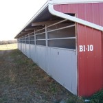 double j indoor arena stalls